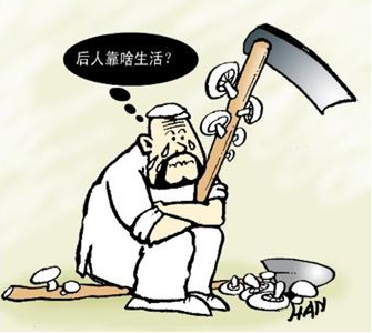 安置補(bǔ)助費(fèi)的支付方式